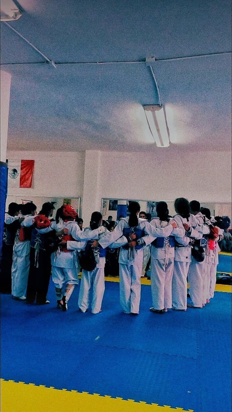 El Tigre de Taekwondo